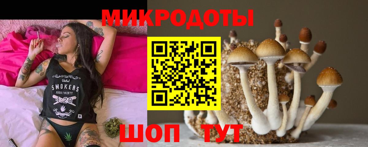 Галлюциногенные грибы Magic Shrooms  как найти закладки  Шадринск  Вход с VPN  Галлюциногенные грибы MAGIC MUSHROOMS 